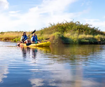 Cours, stage et ateliers