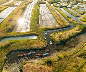 Kayak et Stand Up Paddle