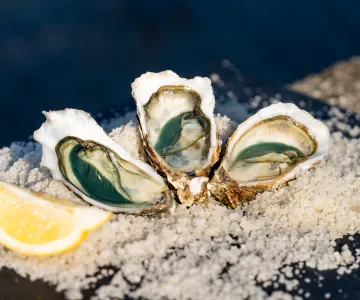 Bar à huître