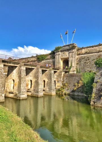 Crédit : Ile d'Oléron Marennes Tourisme