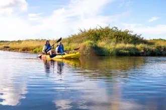 Cours, stage et ateliers