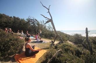 Find your tree - Yoga à la plage