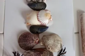 Atelier créatif : tableau de coquillages_Le Château-d'Oléron