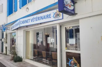 Vétérinaire - Vétomar Le Château_Le Château-d'Oléron