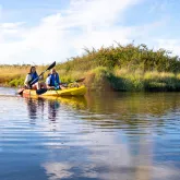 Cours, stage et ateliers