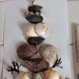 Atelier créatif : tableau de coquillages_Le Château-d'Oléron