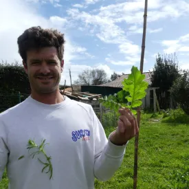 Découverte nature : initiation à la cueillette - les marais oléronais