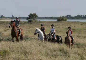 Sur les chemins