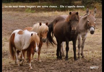 Les jeunes sauvés