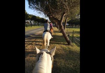 Retour de balade équitation Les Embruns d'Oléron