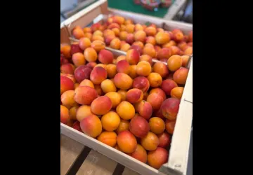 Le Comptoir Fermier_Saint-Pierre-d'Oléron