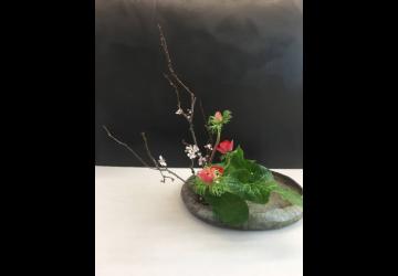 Moribana Chokuritsu -kei