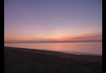 Printemps des réserves naturelles, rendez-vous à Moëze-Oléron_Saint-Froult