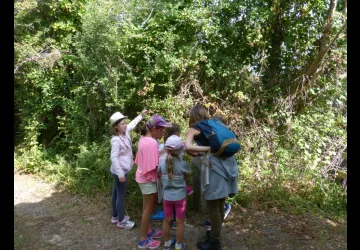 Kit de découverte à louer
