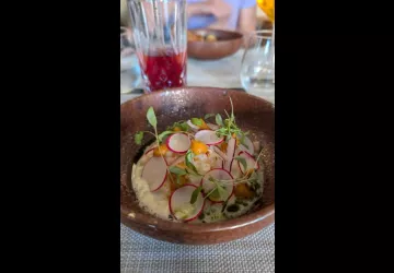 Ceviche de céleri rôti