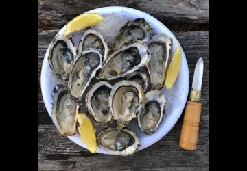 La cabane au drapeau_Le Château-d'Oléron