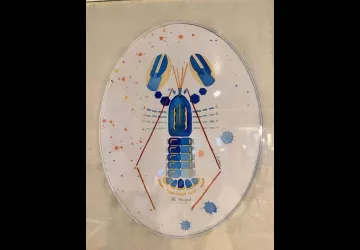 Gris Chiné Plage_Le Château-d'Oléron