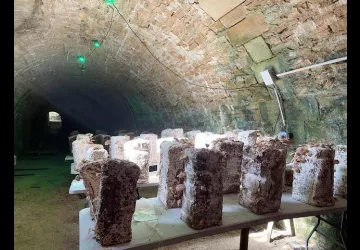Champignonnière : Champitadelle_Le Château-d'Oléron